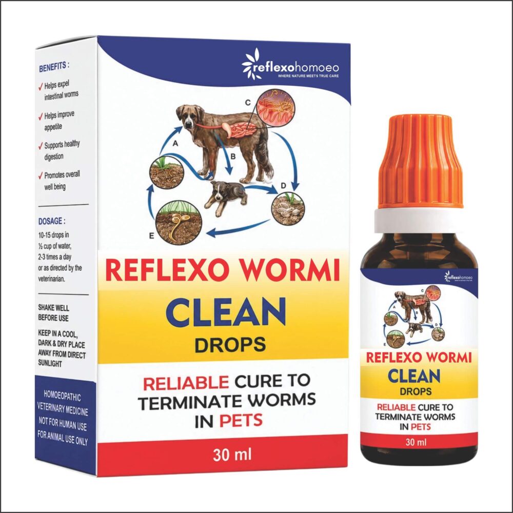 Wormi Clean Drops - 30ml