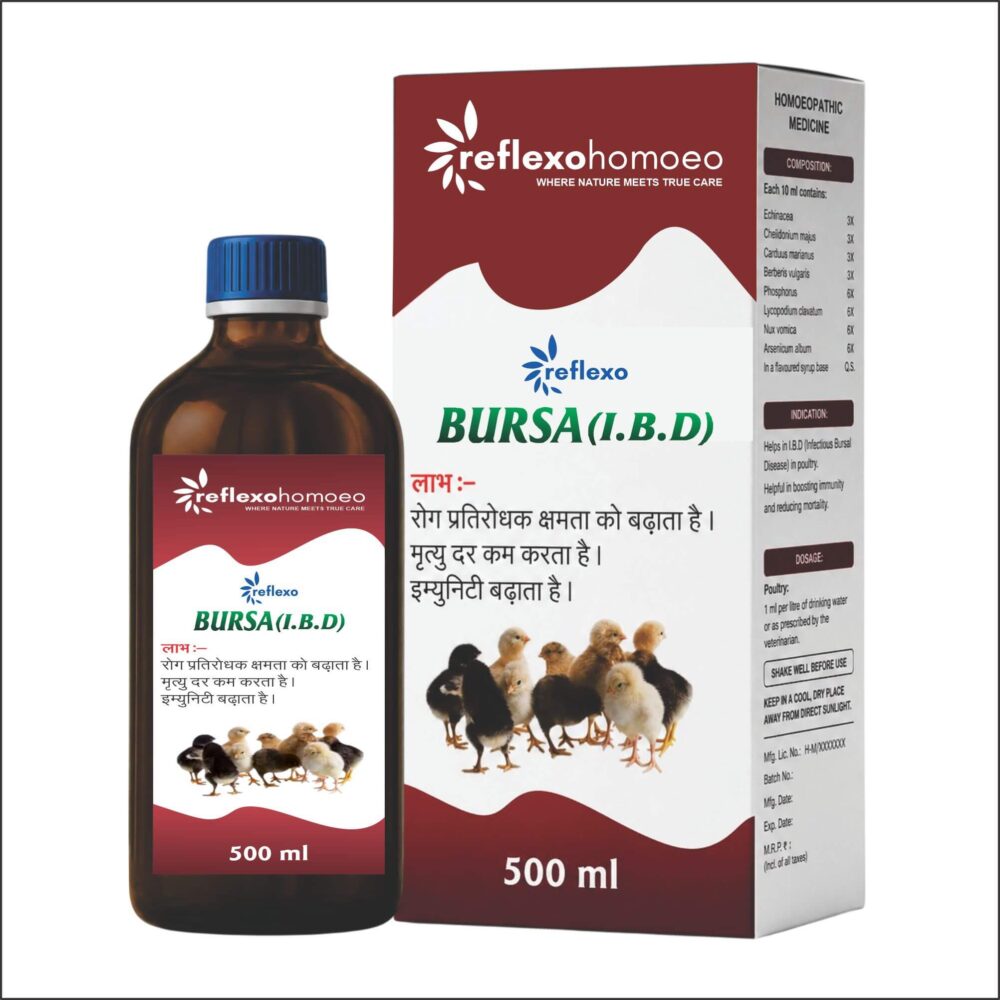 BURSA (I.B.D) - 500ml