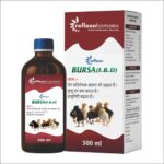 BURSA (I.B.D) - 500ml