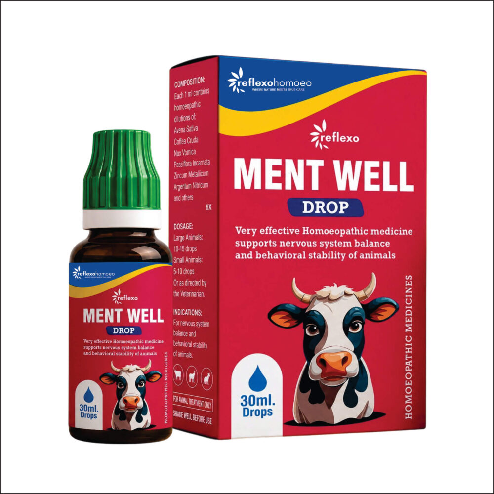 Ment Well Drops - 30ml